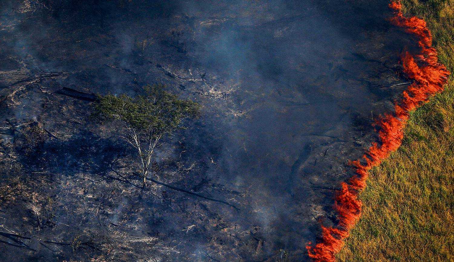 Amazônia: Desmatamento atinge 876 km² em outubro e bate novo recorde