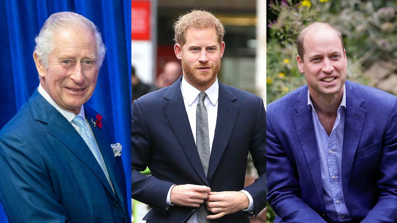 Príncipe William, Rei Charles III e Príncipe Harry. |
(Foto: Reprodução/Samir Hussein/ O Fuxico/ GShow)