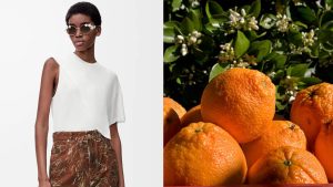 Loewe produz roupas sustentáveis de casca de laranja