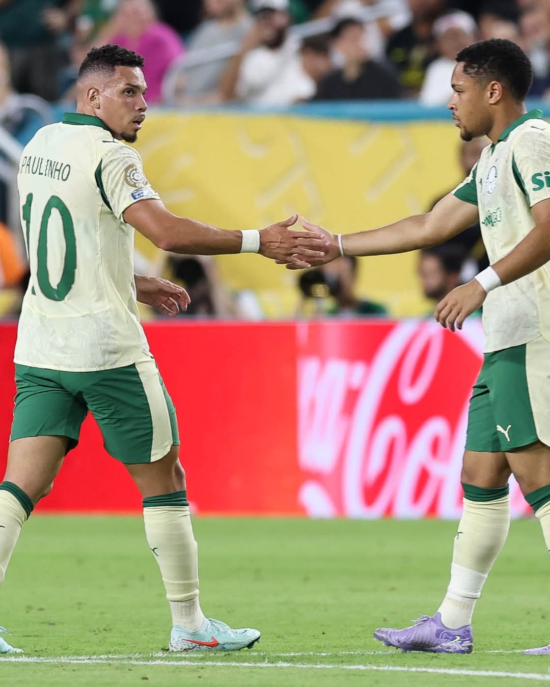 Jogadores do Palmeiras