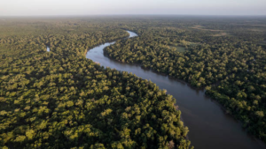 Dia da Sobrecarga: Terra entra em déficit ecológico e esgota cota anual de recursos naturais