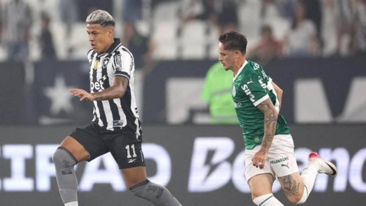 Botafogo e Palmeiras em jogo realizado pelo Brasileirão | Reprodução/x/@botafogo
