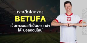 เจาะลึกโลกของ BETUFA เว็บแทงบอลที่เป็นมากกว่าโต๊ะบอลออนไลน์