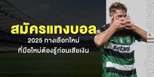 สมัครแทงบอล 2025 ทางเลือกใหม่ที่มือใหม่ต้องรู้ก่อนเสียเงิน