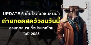 Update 5 เว็บไซต์วัวชนชั้นนำ ถ่ายทอดสดวัวชนวันนี้ ครบทุกสนามทั่วประเทศไทยในปี 2025