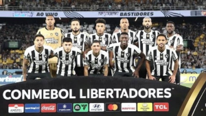 Botafogo e Eagle: Montenegro garante permanência do clube em meio a incertezas