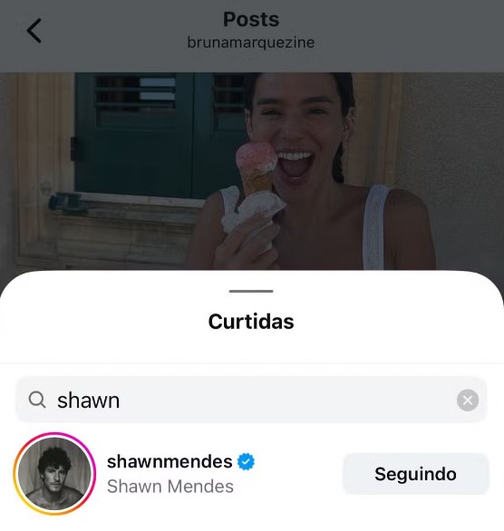 shawn-mendes-segue-bruna-marquezine-no-instagram