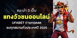 แนะนำ 3 เว็บแทงวัวชนออนไลน์ UFABET ถ่ายทอดสด ครบทุกสนามทั่วประเทศปี 2025