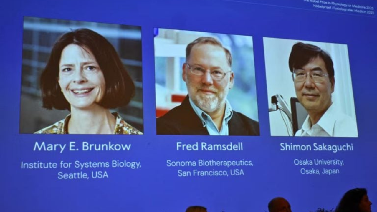Vencedores do Prêmio Nobel 2025 | Reprodução/Forbes/Claudio Bresciani