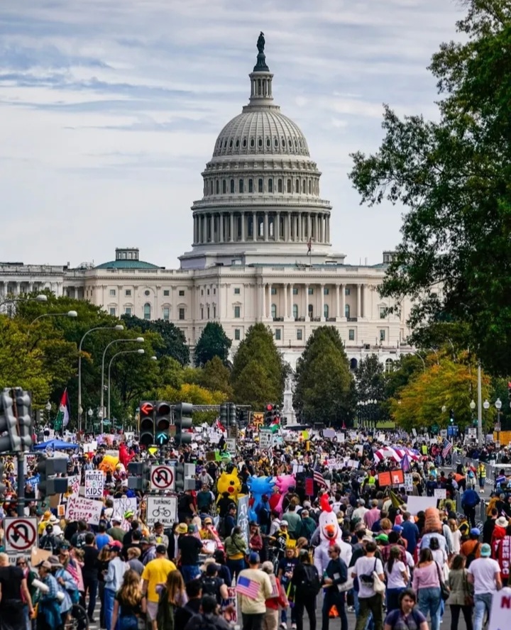 Manifestações pelo país contra o Trump