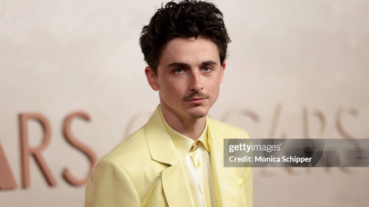 Timothée Chalamet | Reprodução/Monica Schipper/Getty Images Embed